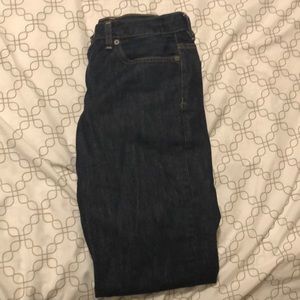 Dark Blue Denim Polo Jeans